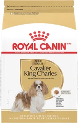 Royal Canin Cavalier King Charles Spaniel Adult breed-specific dry dog food bag featuring the breed on the packaging.